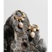 High color brass gold foil niche designer French Baroque retro natural freshwater pearl ear earrings